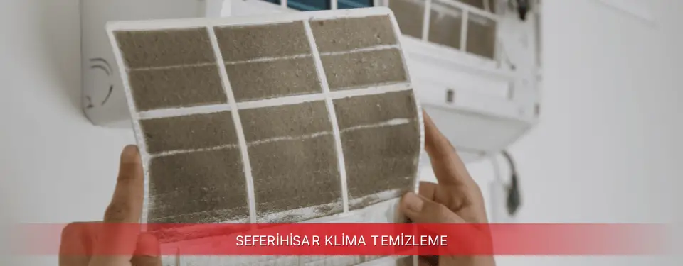 Seferihisar İlçemi Finlux Klima Temizleme